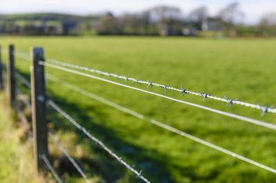 Barbed Wire Fence Installation